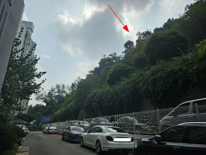경기도 김포시 사우동 산44 임야 경매 사진 22