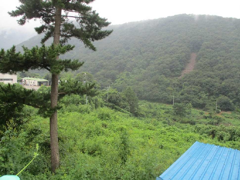 경상남도 김해시 상동면 매리 542-1 임야 경매 사진 7