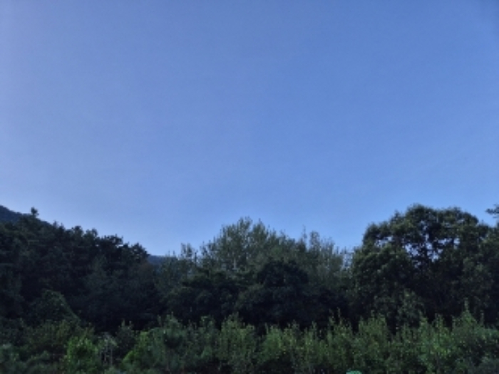 전라남도 나주시 봉황면 철천리 74 외 1필지 답 경매 사진 3