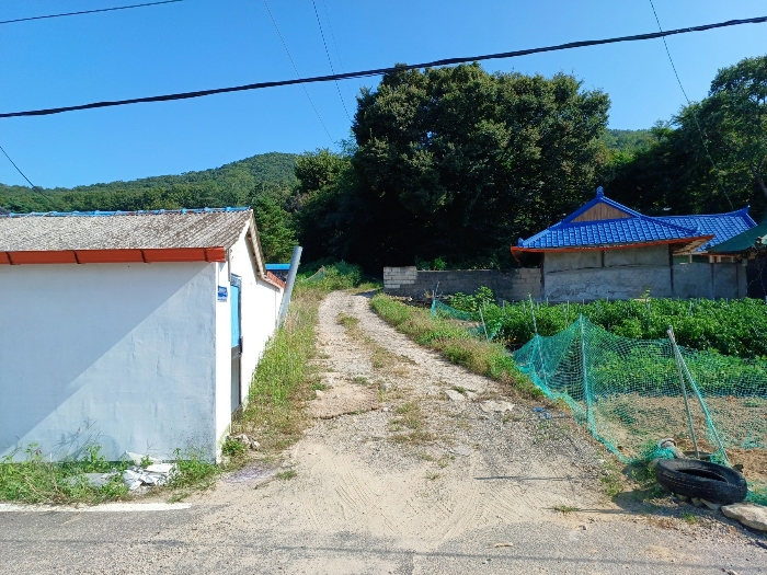 인천광역시 강화군 하점면 신삼리 315-4 외 5필지 도로 경매 사진 21