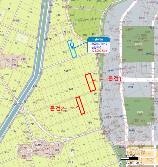 경기도 평택시 고덕면 좌교리 748-1 답 경매 사진 27