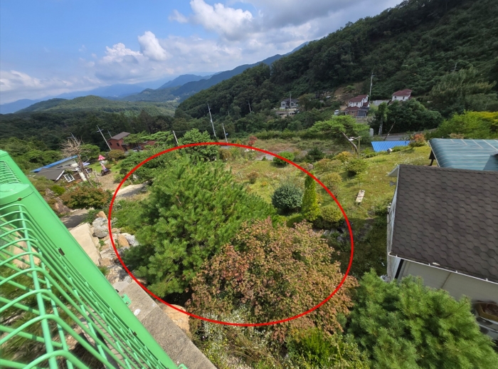 경기도 양평군 강하면 동오리 771-3 외 2필지 단독주택 경매 사진 14
