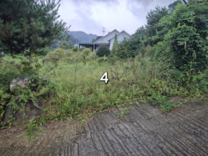 경기도 양평군 강하면 동오리 771-3 외 2필지 단독주택 경매 사진 4