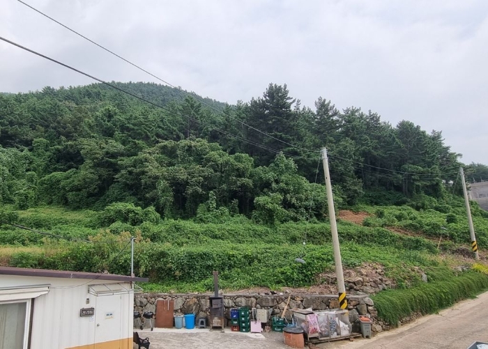 경상남도 남해군 서면 작장리 산124 임야 경매 사진 2