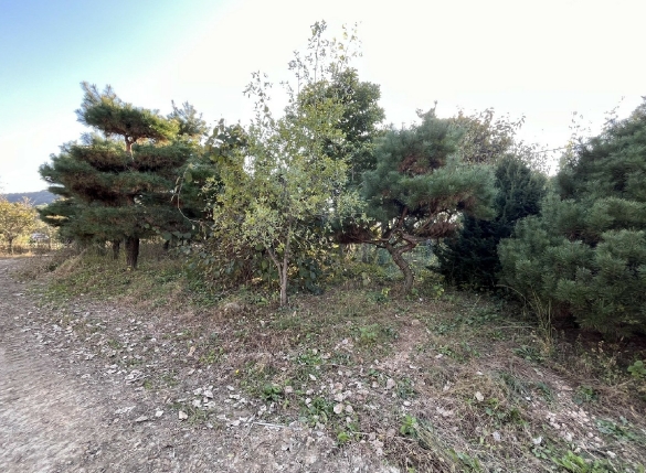 전북특별자치도 전주시 완산구 삼천동3가 7 외 1필지 답 경매 사진 14