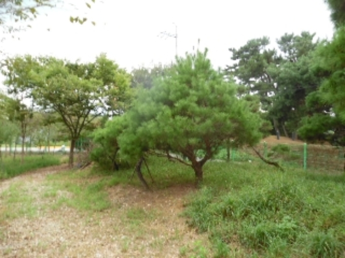 전북특별자치도 전주시 완산구 삼천동3가 7 외 1필지 답 경매 사진 22