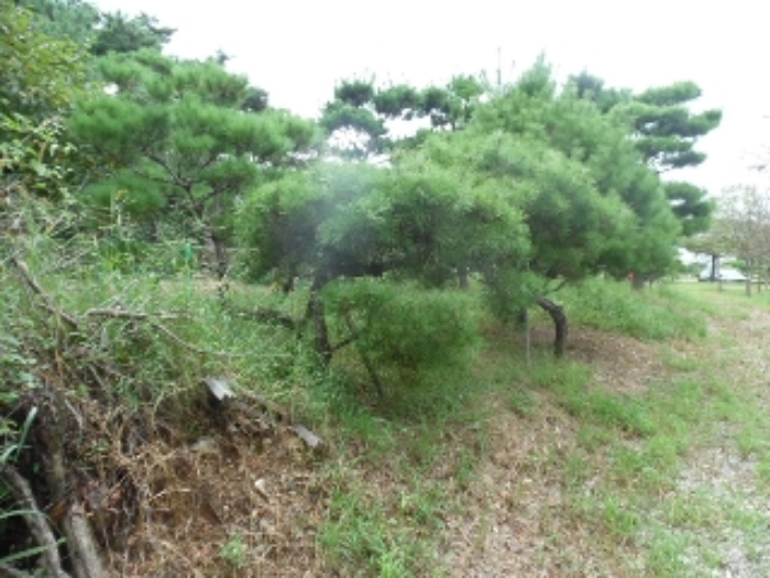 전북특별자치도 전주시 완산구 삼천동3가 7 외 1필지 답 경매 사진 23