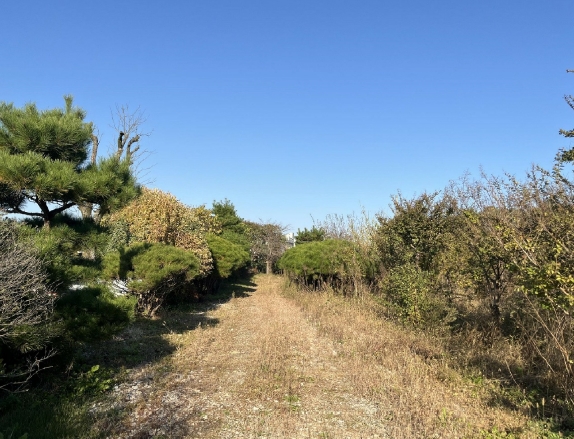전북특별자치도 전주시 완산구 삼천동3가 7 외 1필지 답 경매 사진 9