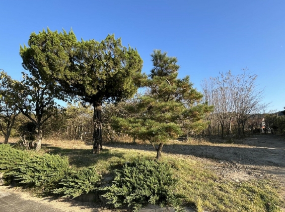 전북특별자치도 전주시 완산구 삼천동3가 7 외 1필지 답 경매 사진 10