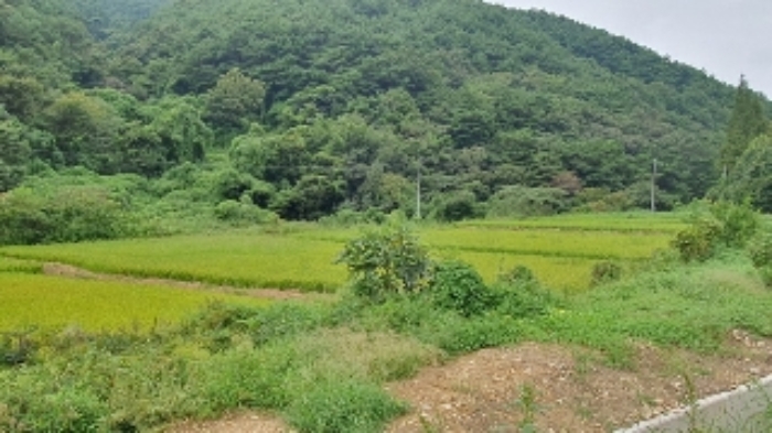 경상남도 창원시 마산합포구 진전면 고사리 142 답 경매 사진 1