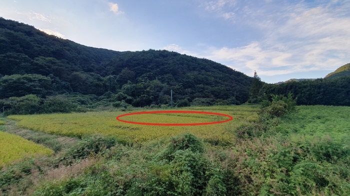 경상남도 창원시 마산합포구 진전면 고사리 142 답 경매 사진 3