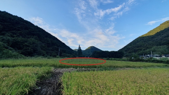 경상남도 창원시 마산합포구 진전면 고사리 142 답 경매 사진 4