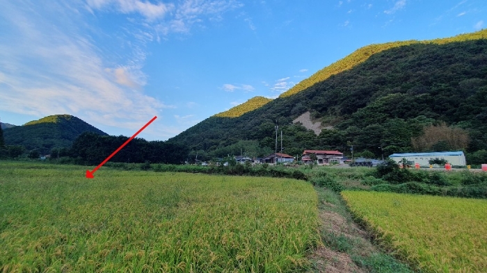 경상남도 창원시 마산합포구 진전면 고사리 142 답 경매 사진 6