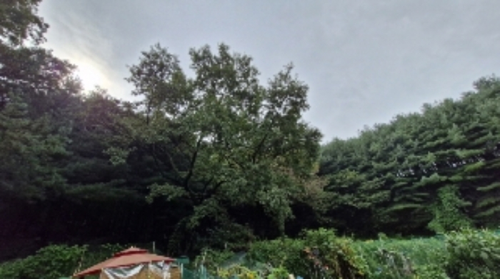 경기도 군포시 산본동 산105 임야 경매 사진 1