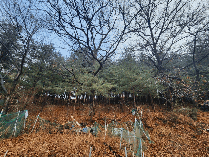 경기도 군포시 산본동 산105 임야 경매 사진 14