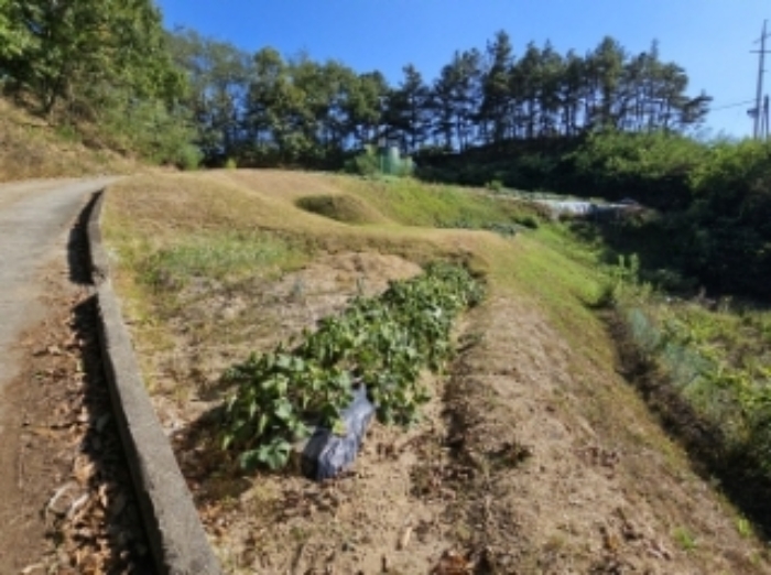 경상북도 영주시 이산면 용상리 936 전 경매 사진 12