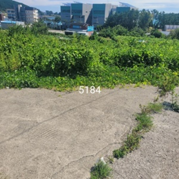 부산광역시 기장군 일광읍 이천리 584 외 1필지 공장 경매 사진 3
