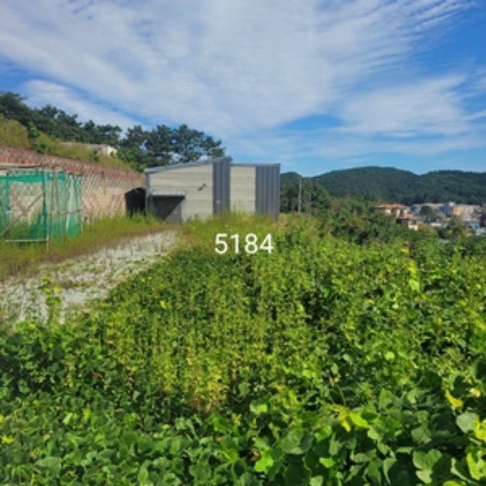 부산광역시 기장군 일광읍 이천리 584 외 1필지 공장 경매 사진 4