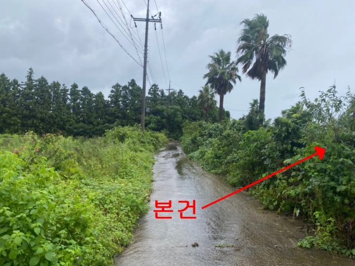 제주특별자치도 제주시 조천읍 와산리 1391-3 전 경매 사진 15