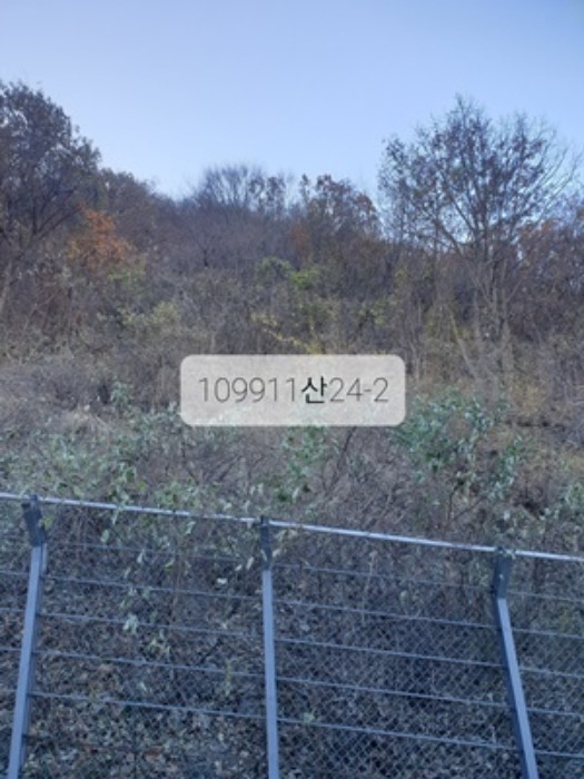 부산광역시 기장군 정관읍 달산리 산24-2 임야 경매 사진 1