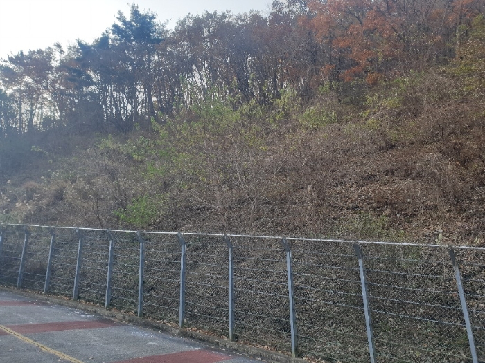 부산광역시 기장군 정관읍 달산리 산25 임야 경매 사진 2