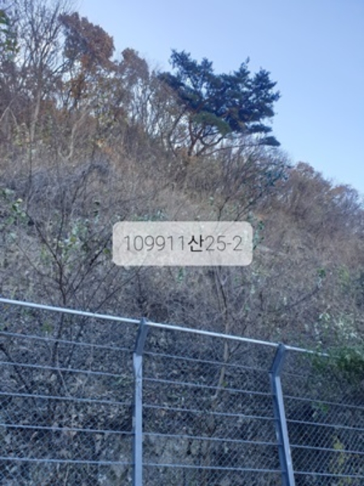 부산광역시 기장군 정관읍 달산리 산25-2 임야 경매 사진 1