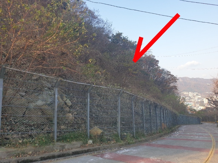 부산광역시 기장군 정관읍 달산리 산25-2 임야 경매 사진 2