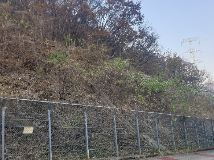 부산광역시 기장군 정관읍 달산리 산25-2 임야 경매 사진 3