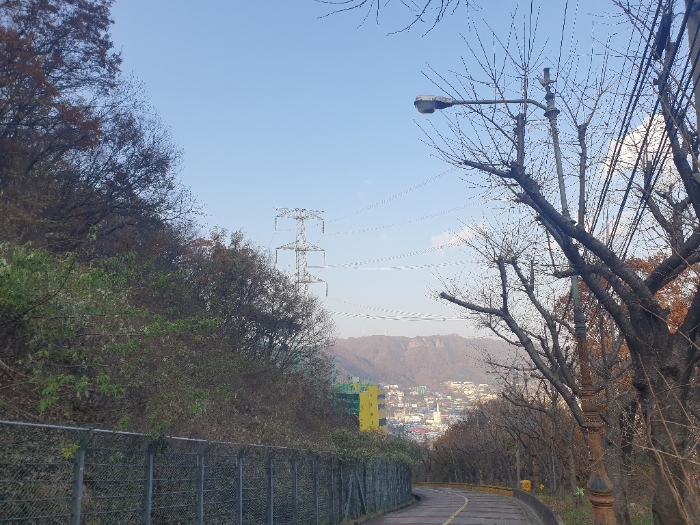부산광역시 기장군 정관읍 달산리 산25-2 임야 경매 사진 4