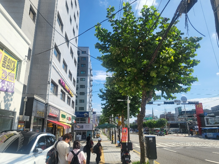서울 양천구 신월동 131-2, 제102동 제5층 제503호 (신월동, 그라비스) 외 1필지 오피스텔(주거) 경매 사진 4