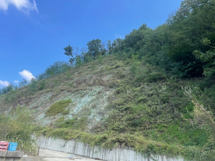 충청북도 옥천군 옥천읍 삼청리 산5-10 임야 경매 사진 12