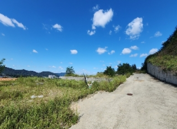 충청북도 옥천군 옥천읍 삼청리 산5-10 임야 경매 사진 6