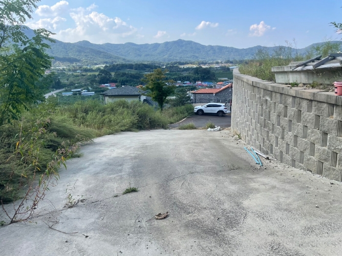 충청북도 옥천군 옥천읍 삼청리 산5-10 임야 경매 사진 8
