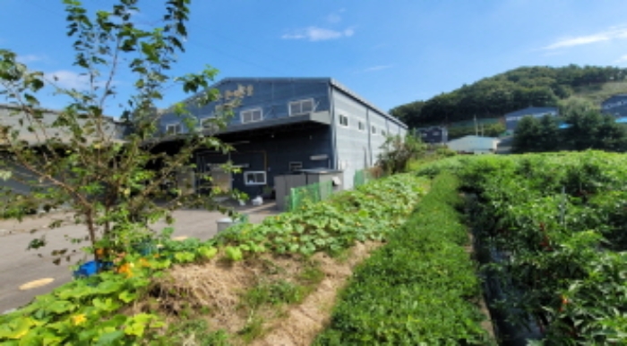 경기도 김포시 통진읍 옹정리 315-16 외 3필지 공장 경매 사진 4