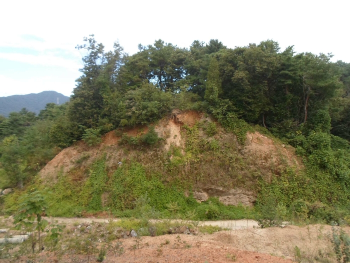 경기도 양평군 양서면 복포리 26-14 외 18필지 임야 경매 사진 62