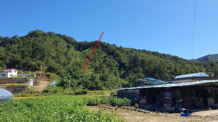 경기도 양평군 강하면 성덕리 산1-11 임야 경매 사진 20
