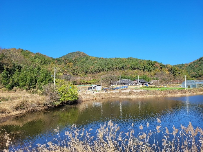 경상남도 창녕군 대합면 대동리 291 전 경매 사진 36