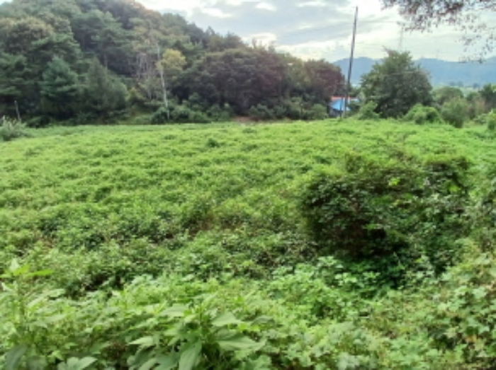 충청남도 당진시 정미면 대운산리 565-2 외 4필지 창고시설 경매 사진 11