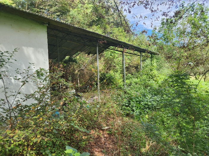 충청남도 당진시 정미면 대운산리 565-2 외 4필지 창고시설 경매 사진 19