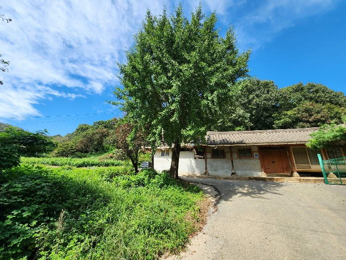 충청남도 당진시 정미면 대운산리 565-2 외 4필지 창고시설 경매 사진 25