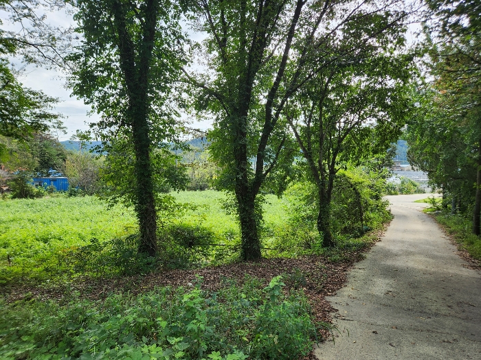 충청남도 당진시 정미면 대운산리 565-2 외 4필지 창고시설 경매 사진 30