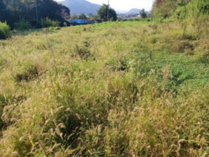 충청남도 당진시 정미면 대운산리 565-2 외 4필지 창고시설 경매 사진 6