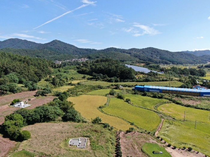 전라남도 해남군 삼산면 신흥리 216 외 2필지 답 경매 사진 4