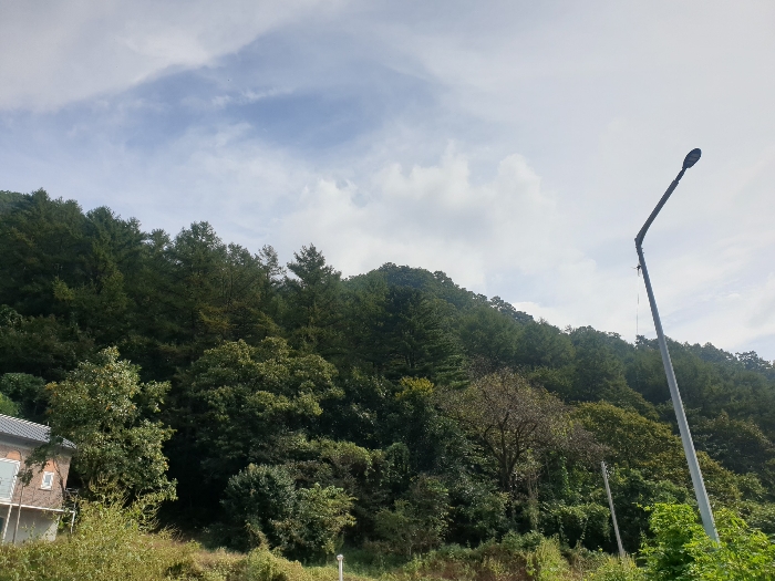 경기도 가평군 청평면 호명리 산55-1 임야 경매 사진 17