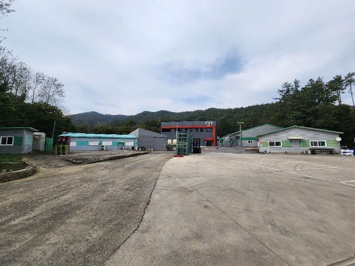 전라남도 장흥군 장평면 봉림리 495 외 2필지 공장 경매 사진 59