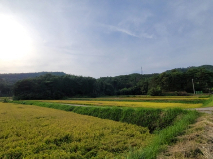 전라남도 보성군 미력면 화방리 1406-1 전 경매 사진 32