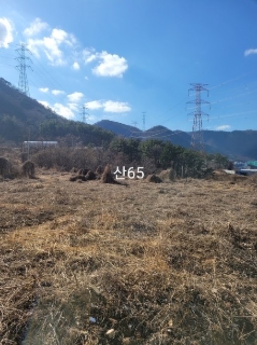 부산광역시 기장군 정관읍 달산리 산65 목장용지 경매 사진 33