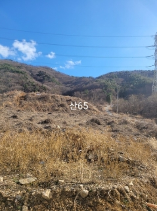 부산광역시 기장군 정관읍 달산리 산65 목장용지 경매 사진 34