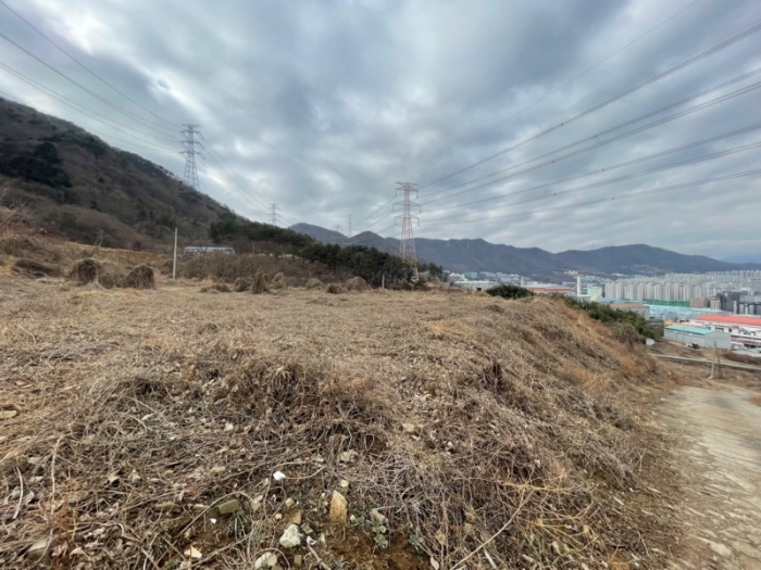 부산광역시 기장군 정관읍 달산리 산65 목장용지 경매 사진 38
