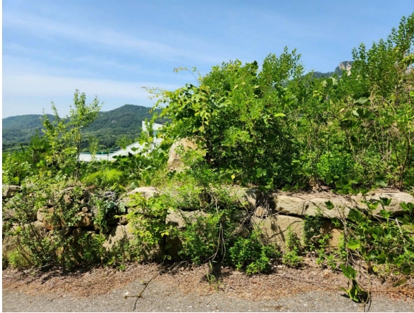 경기도 양주시 산북동 351-3 외 28필지 대지 경매 사진 1